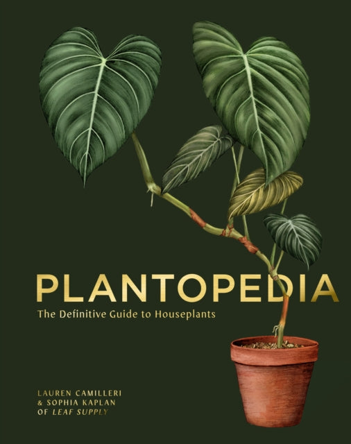 Front cover of Plantopedia by Sophia Kaplan, hardback