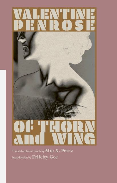 Of Thorn and Wing : Collected Poems - Felicity Gee