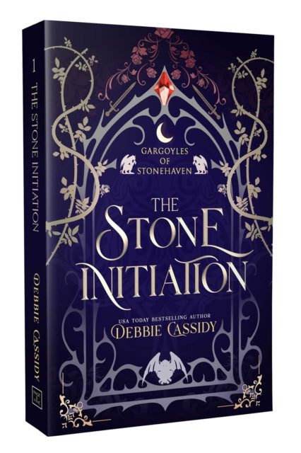 The Stone Initiation : Volume 1 - Debbie Cassidy
