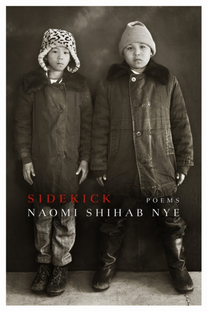Sidekick - Naomi Shihab Nye