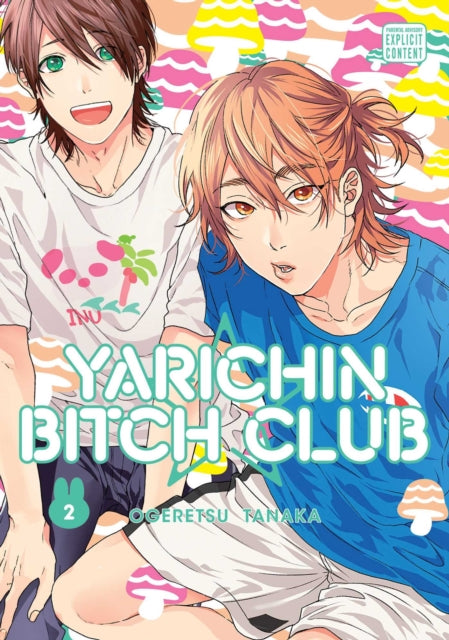 Front cover of Yarichin Bitch Club, Vol. 2 by Ogeretsu Tanaka, paperback