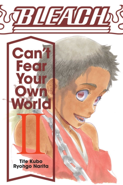 Front cover of Bleach: Can't Fear Your Own World, Vol. 2 by Ryohgo Narita, paperback