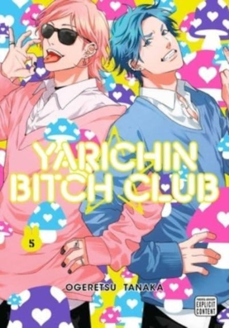 Yarichin Bitch Club, Vol. 5 : Volume 5 - Ogeretsu Tanaka