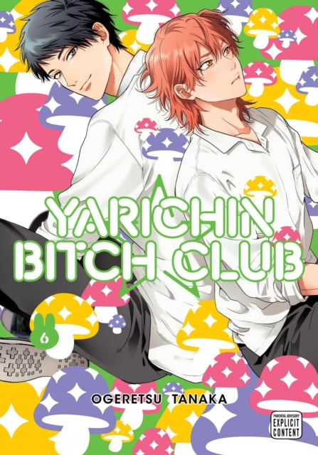 Front cover of Yarichin Bitch Club, Vol. 6 by Ogeretsu Tanaka, paperback