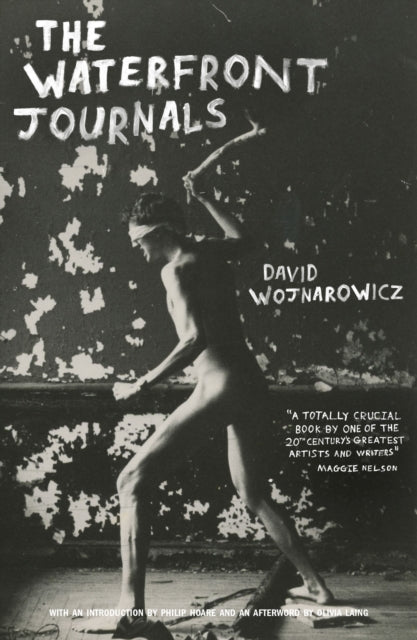 Front cover of The Waterfront Journals by David Wojnarowicz, paperback