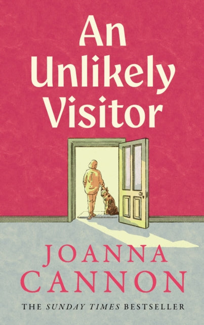 An Unlikely Visitor - Joanna Cannon