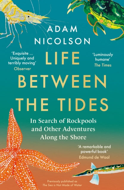 Life Between the Tides : In Search of Rockpools and Other Adventures Along the Shore - Adam Nicolson