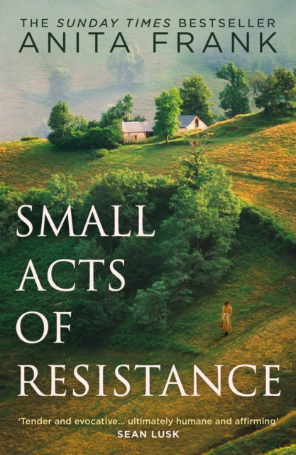 Small Acts of Resistance - Anita Frank