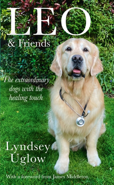 Leo & Friends : The Dogs with a Healing Touch - Lyndsey Uglow