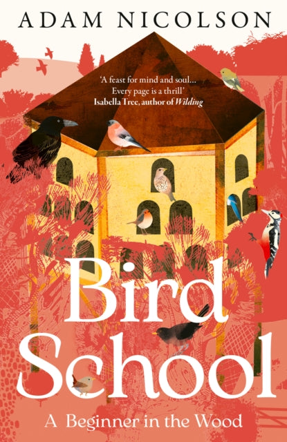 Bird School : A Beginner in the Wood - Adam Nicolson
