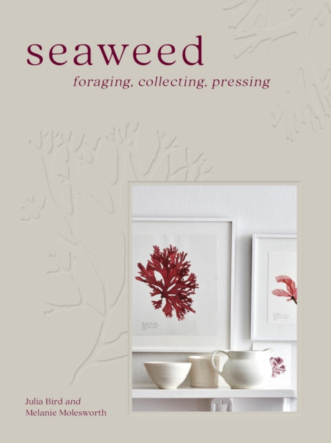 Seaweed : Foraging, Collecting, Pressing - Julia Bird