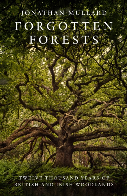 Forgotten Forests : Twelve Thousand Years of British and Irish Woodlands - Jonathan Mullard