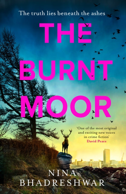 The Burnt Moor - Nina Bhadreshwar