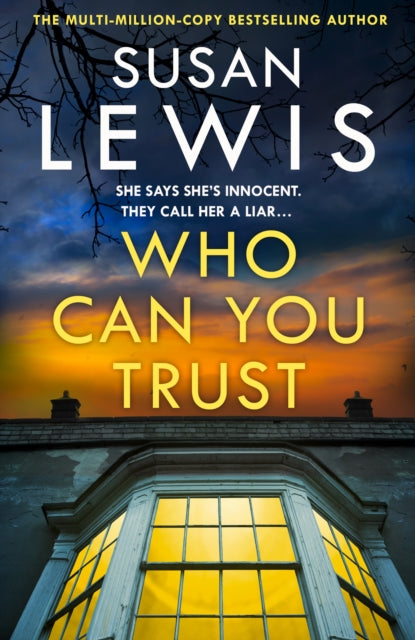 Who Can You Trust - Susan Lewis