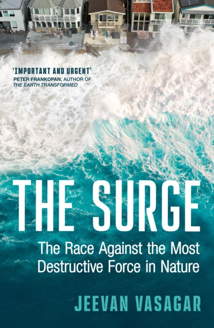 Front cover of The Surge by Jeevan Vasagar, hardback