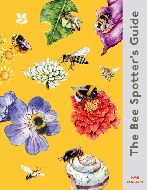 The Bee Spotter's Guide : Discover Britain's Bees with This Beautifully Illustrated Little Guide by Dave Goulson, the Sunday Times Best-Selling Author of `the Garden Jungle'. - National Trust Books