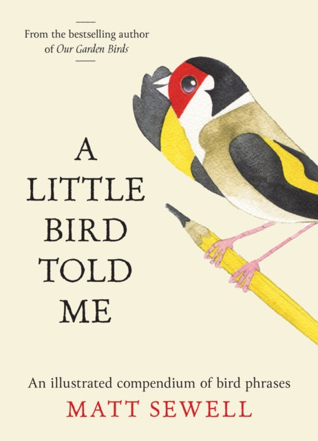 A Little Bird Told Me : An Illustrated Compendium of Bird Phrases - Matt Sewell