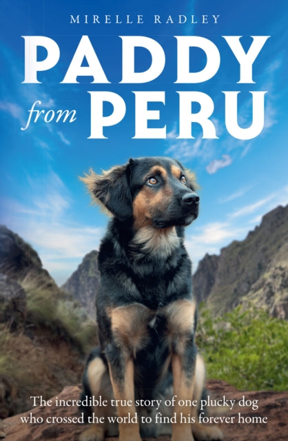 Paddy from Peru : The Incredible True Story of One Plucky Dog Who Crossed the World to Find His Forever Home - Mirelle Radley