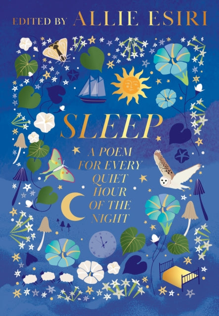 Sleep : A Poem for Every Quiet Hour of the Night - Allie Esiri