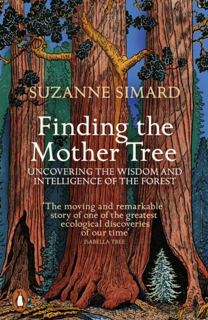 Front cover of Finding the Mother Tree by Suzanne Simard, paperback