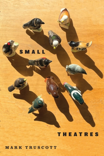Small Theatres - Mark Truscott
