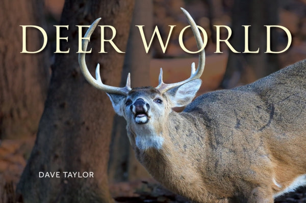 Deer World - Dave Taylor