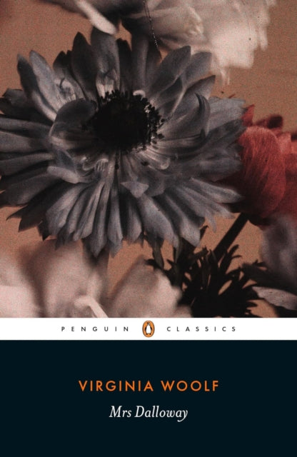 Front cover of Mrs Dalloway by Stella McNichol, paperback