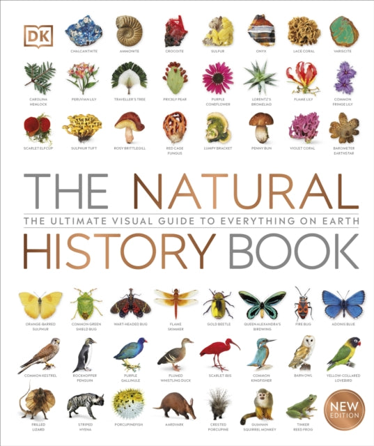 The Natural History Book : The Ultimate Visual Guide to Everything on Earth - DK