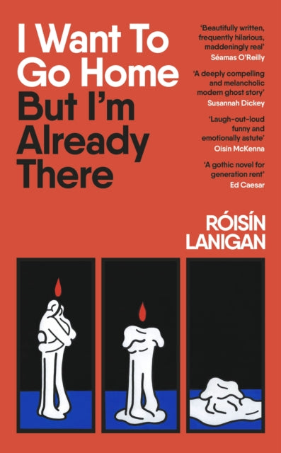 Front cover of I Want To Go Home But I'm Already There by Roisin Lanigan, hardback