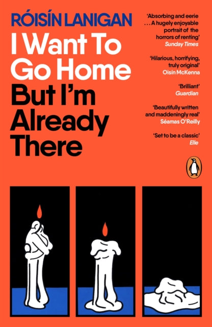 I Want To Go Home But I'm Already There - Roisin Lanigan