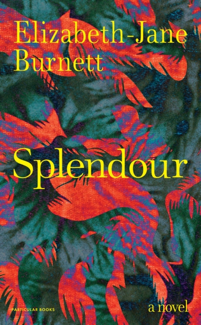 Front cover of Splendour, hardback