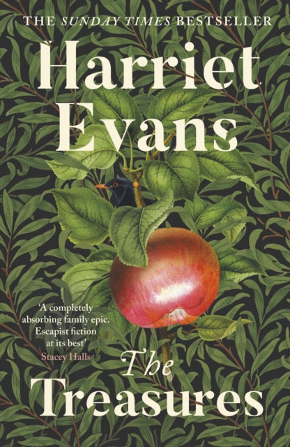 Front cover of The Treasures by Harriet Evans, hardback
