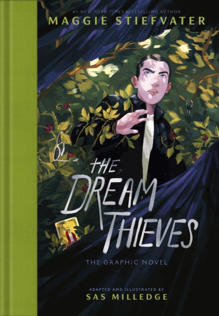 Front cover of The Dream Thieves by Stephanie Williams, hardback