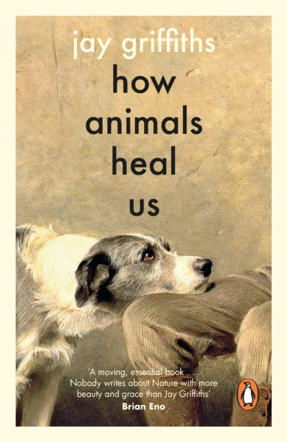 Front cover of How Animals Heal Us by Jay Griffiths, paperback