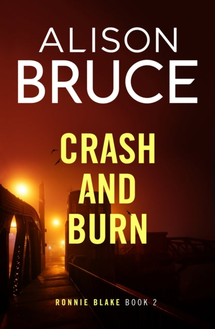 Crash and Burn : A thrilling detective novel set in Cambridge - Alison Bruce