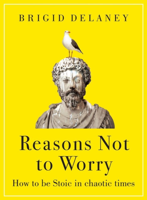 Reasons Not to Worry : How to be Stoic in chaotic times - Brigid Delaney