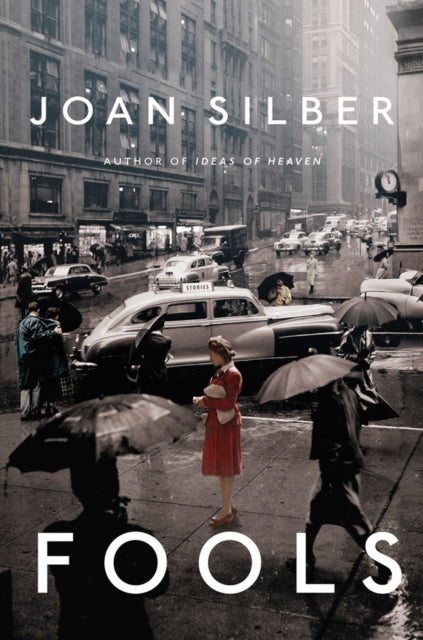 Fools : Stories - Joan Silber