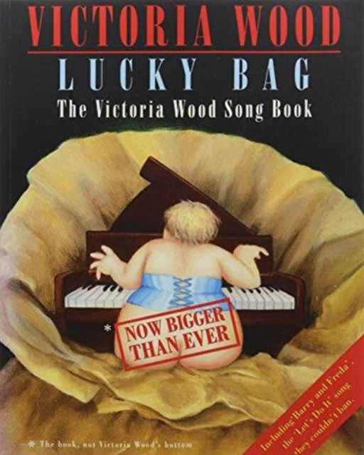 Front cover of Lucky Bag by Victoria Wood, paperback