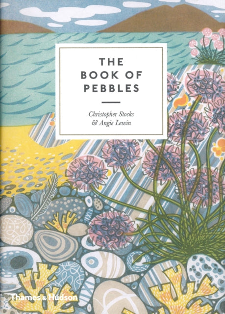 The Book of Pebbles : From Prehistory to the Pet Shop Boys - Christopher Stocks