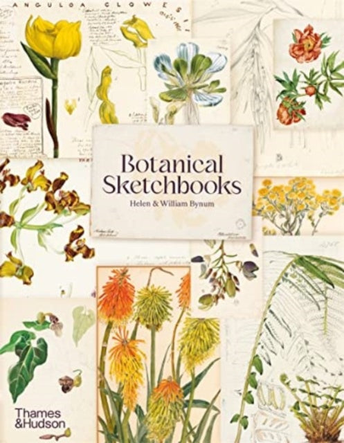 Botanical Sketchbooks - Helen Bynum