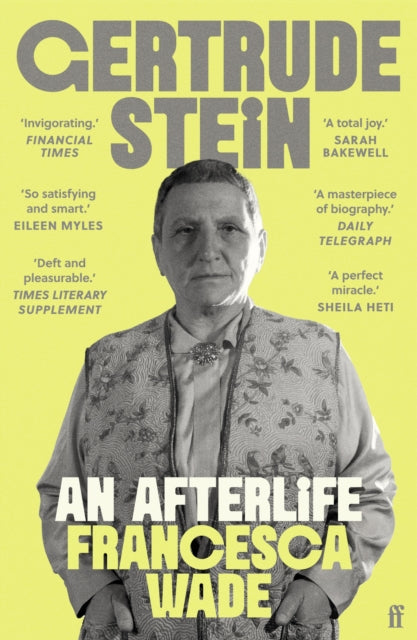 Gertrude Stein : An Afterlife - 'Strikingly accomplished . . . utterly compelling.'