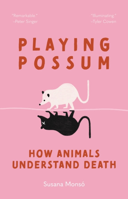 Playing Possum : How Animals Understand Death - Susana Monso