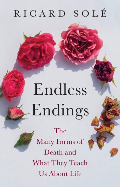 Endless Endings : The Many Forms of Death and What They Teach Us About Life - Eduardo Aparicio