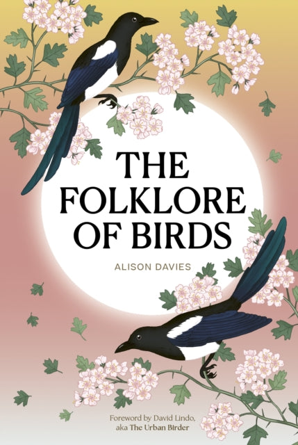 The Folklore of Birds : The forgotten tales behind nature's most enigmatic creatures - Alison Davies