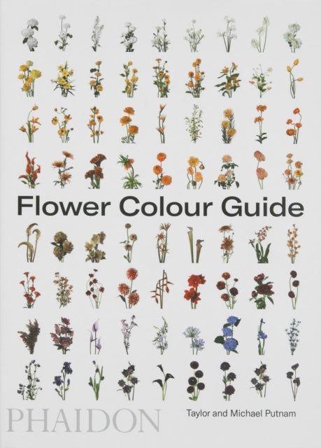 Flower Colour Guide - Taylor Putnam