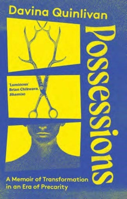 Possessions : A Memoir of Transformation in an Era of Precarity - Davina Quinlivan
