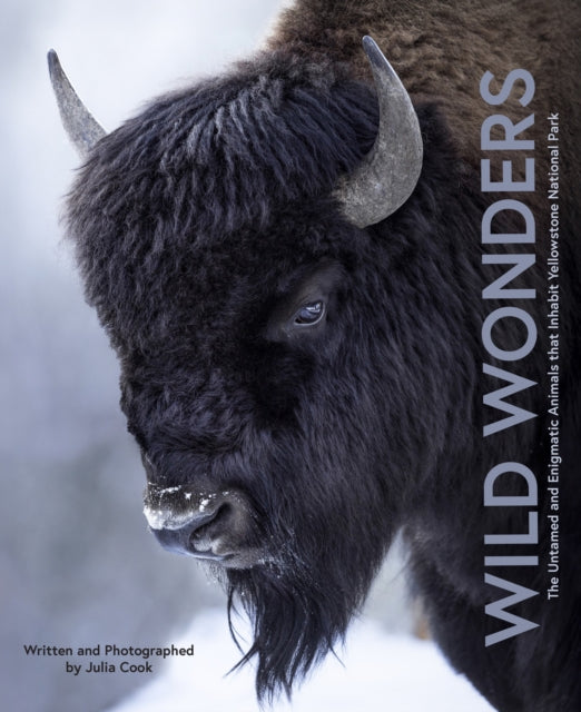 Wild Wonders : The Untamed and Enigmatic Animals that Inhabit Yellowstone National Park