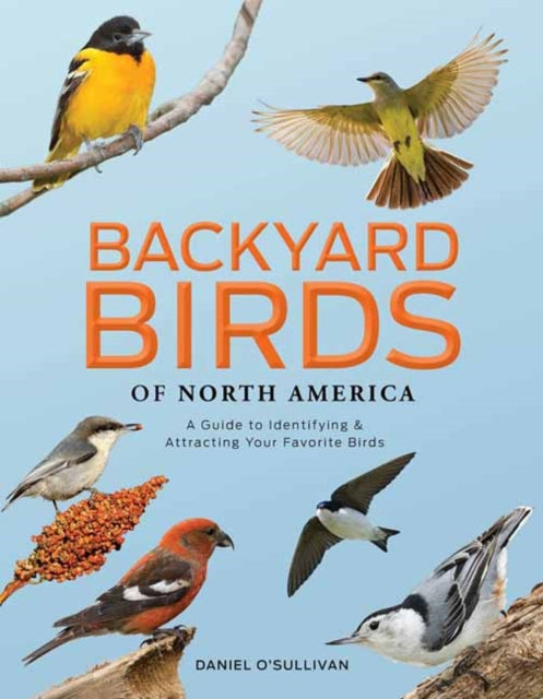 Backyard Birds of North America : A Guide to Identifying and Attracting Your Favorite Birds - Daniel O'Sullivan