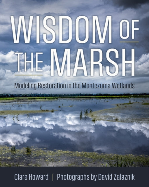 Wisdom of the Marsh : Modeling Restoration in the Montezuma Wetlands