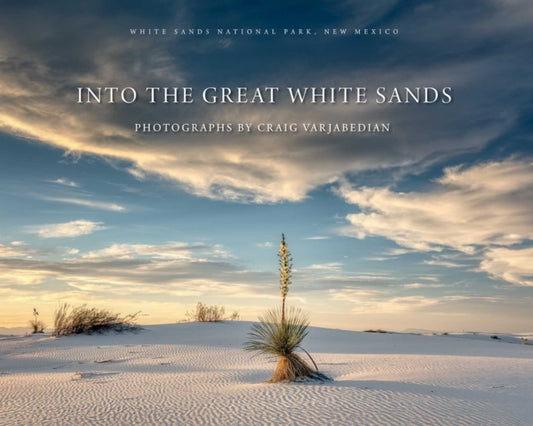 Into the Great White Sands - Dennis Ditmanson